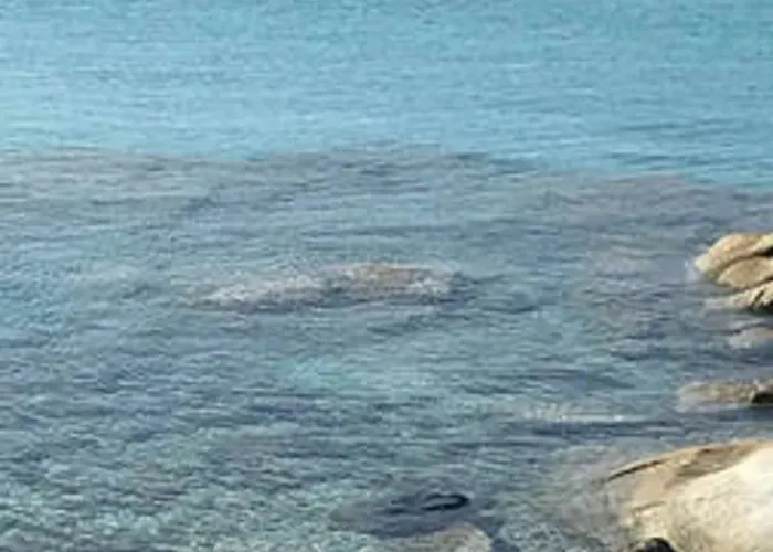펜션 Sul Mare Sardegna Nesea 빌라시미우스